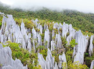 Nacionalni park Gunung Mulu