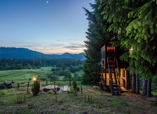 Tree House Gorski Lazi - 14