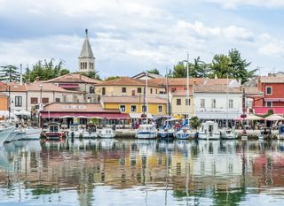 Novigrad