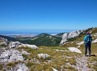 Novi kviz općeg znanja - 10