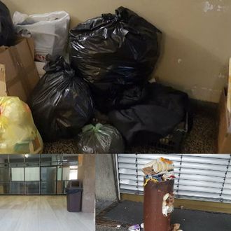 Vidi se kad spremačice štrajkaju! Fakultet zatrpan smećem danas su čistili – i profesori