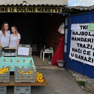 Vreća vitamina po cijeni bureka: Posjetili smo najdraži štand svih studenata i probali robu 'kralja mandarina'