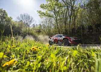 Elfyn Evans