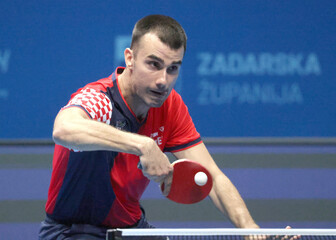 Tomislav Pucar