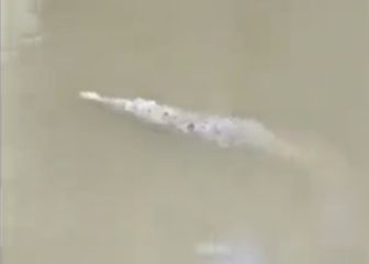 Krokodil na rijeci Canas