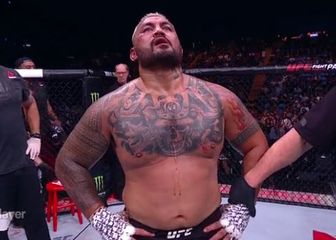 Mark Hunt