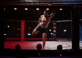 MMA oktagon (ilustracija)