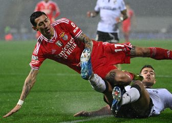 Toni Borevković protiv Angela Di Marije