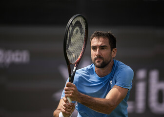 Marin Čilić