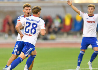 Hajduk