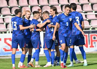Mlada hrvatska reprezentacija slavi pogodak Frana Topića