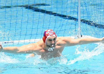 Ivan Marcelić
