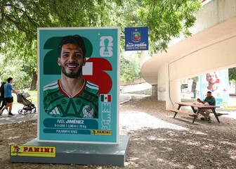 Raul Jimenez