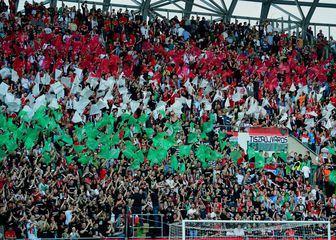 Mađarski navijači (Foto: AFP)