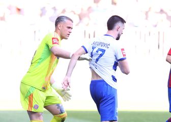 Ivan Lučić i Arnel Jakupović