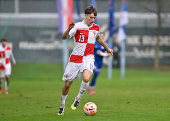 Karlo Mijo Šimić
