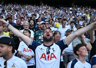 Navijač Tottenhama
