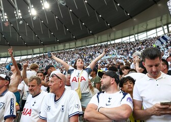 Navijači Tottenhama