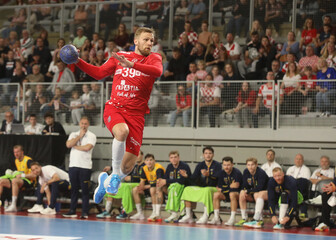 David Mandić