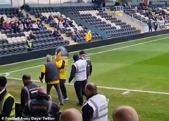 Maskota St Albans Cityja