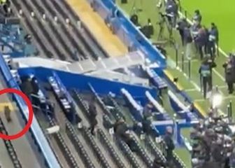 Lisica na Stamford Bridgeu