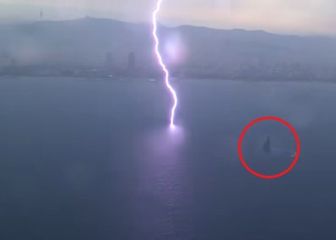 Americas Cup