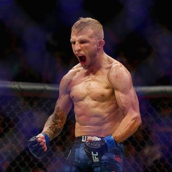 Dillashaw slavio protiv Garbrandta (Foto: AFP)