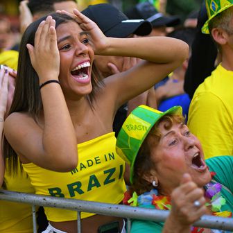 Gole navijacice brazila