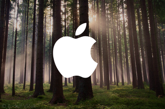Zašto je Apple kupio 36,000 hektara šume?