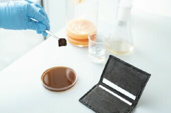 Kožni novčanik proizveden od bakterijske celuloze