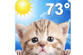 Weather Kitty - kad mačići donose vremensku prognozu sve izgleda ljepše