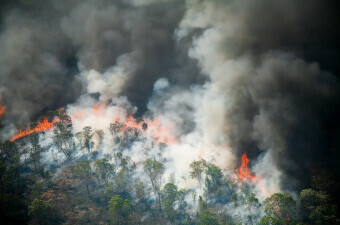 Požari u Amazoniji, ilustracija