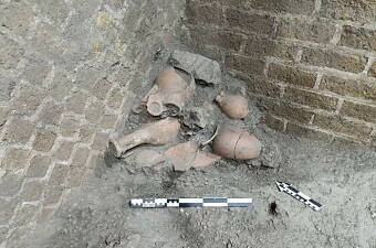 Ostaci u Pompeju