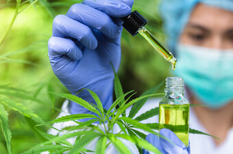 Medicinski kanabis, ilustracija