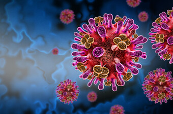 Virus Nipah, ilustracija