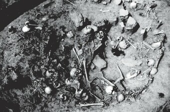 Masovna grobnica iz Željeznog doba u Gomolavi