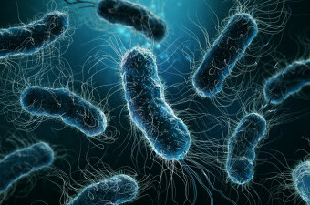 Bakterije, ilustracija