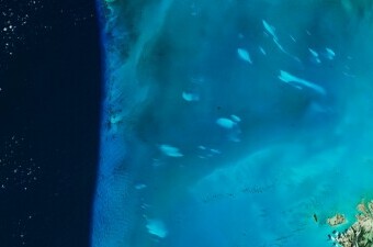 Velike bijele morske mrlje na Bahamima