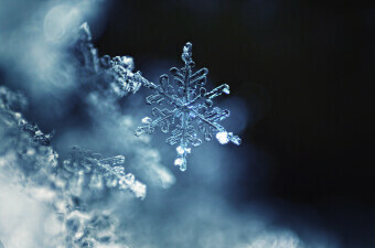 Snježna pahulja, ilustracija