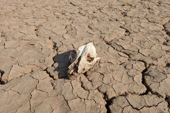 Ekstremna vrućina, ilustracija