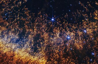 Umiruća zvijezda u maglici Helix