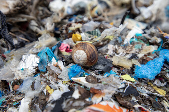 Plastika, ilustracija