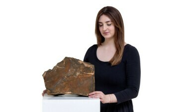 Meteorit NWA-16788 s Marsa prodan za rekordnu cifru na aukciji