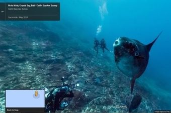 Uz Google Street View od sada možete istraživati i podvodni svijet oceana