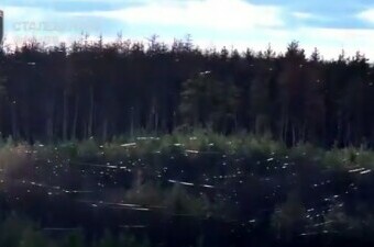 Mreže optičkih kablova iznad šume u Ukrajini