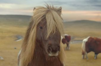 Pogledajte nove mashup animacije rasplesanog ponija koji je postao hit na društvenim mrežama