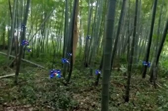 Testiranje roja dronova u gustoj šumi