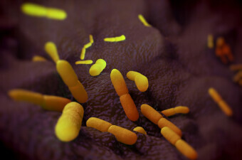 Bakterija Yersinia pestis, ilustracija