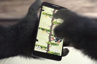 Stiže Gorilla Glass 4 - zasloni koji će ostati neoštećeni i nakon padova