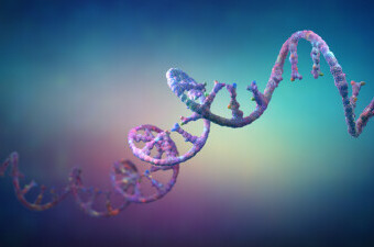 RNK, ilustracija